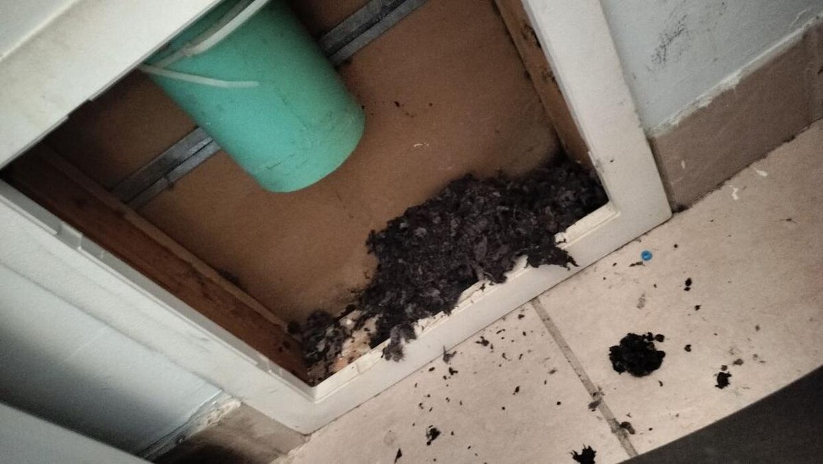 Images Dryer Vent Superheroes of Louisville