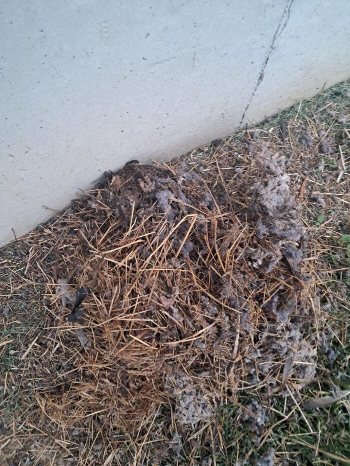 Images Dryer Vent Superheroes of Louisville