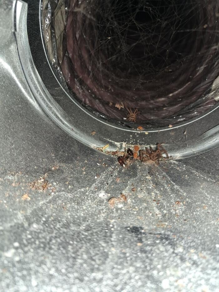 Images Dryer Vent Superheroes of Louisville
