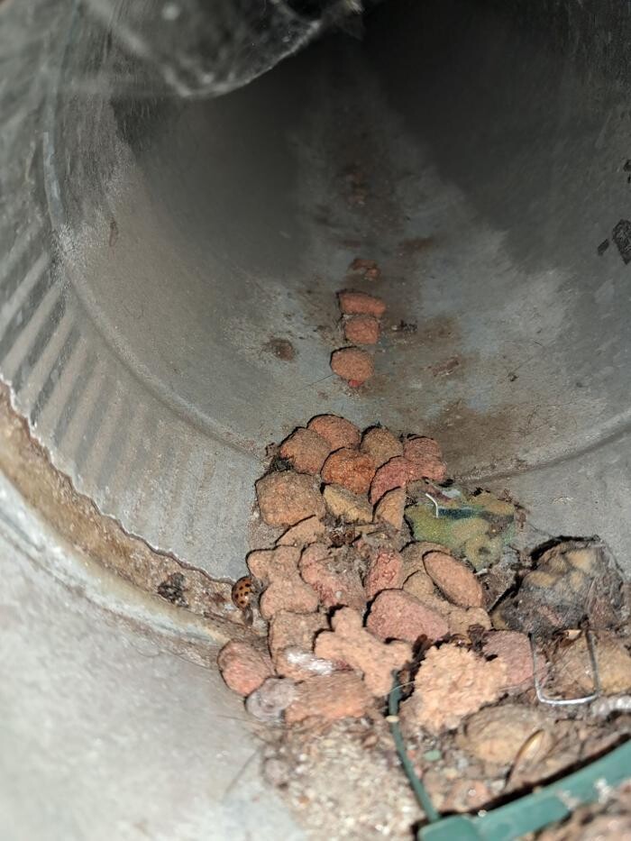Images Dryer Vent Superheroes of Louisville
