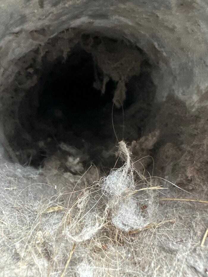 Images Dryer Vent Superheroes of Louisville