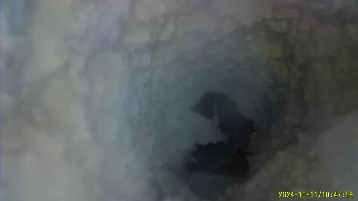 Images Dryer Vent Superheroes of Louisville