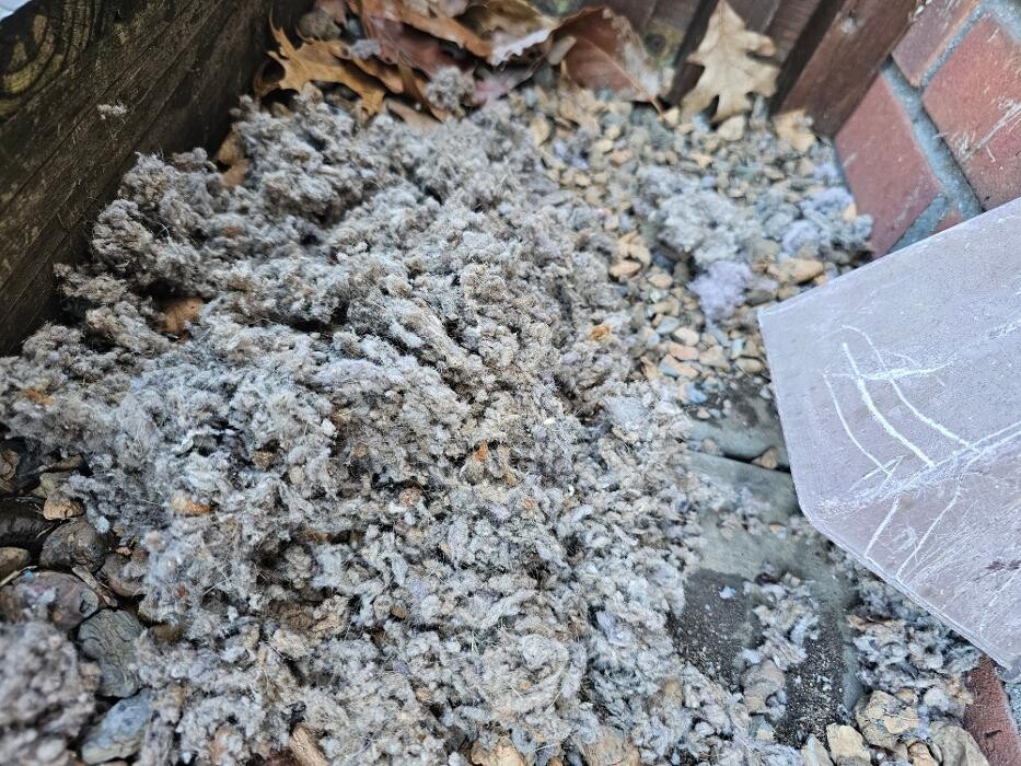Images Dryer Vent Superheroes of Louisville