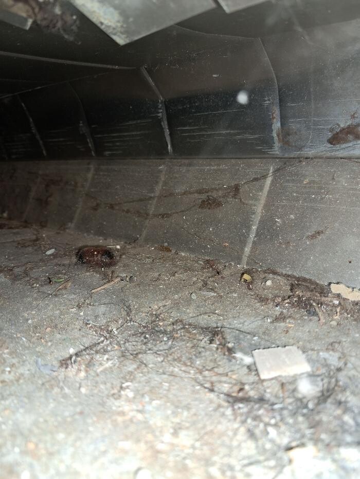 Images Dryer Vent Superheroes of Louisville