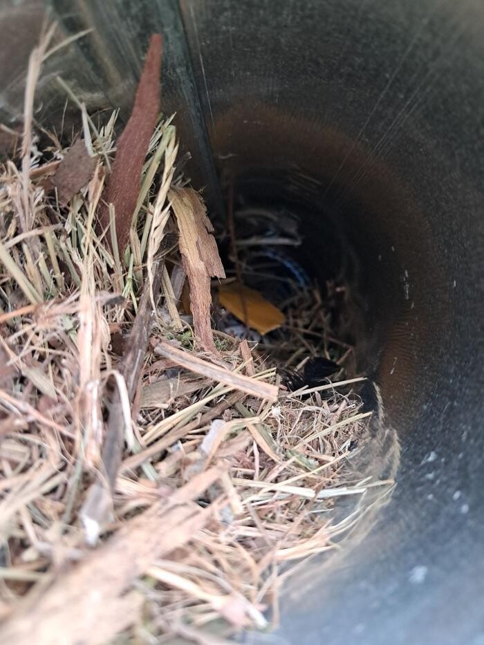 Images Dryer Vent Superheroes of Louisville