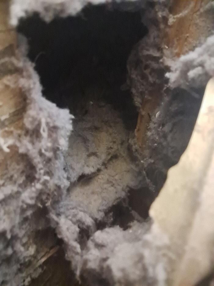 Images Dryer Vent Superheroes of Louisville