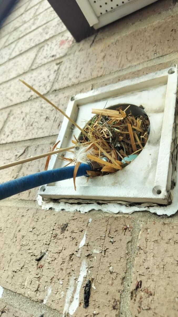 Images Dryer Vent Superheroes of Louisville