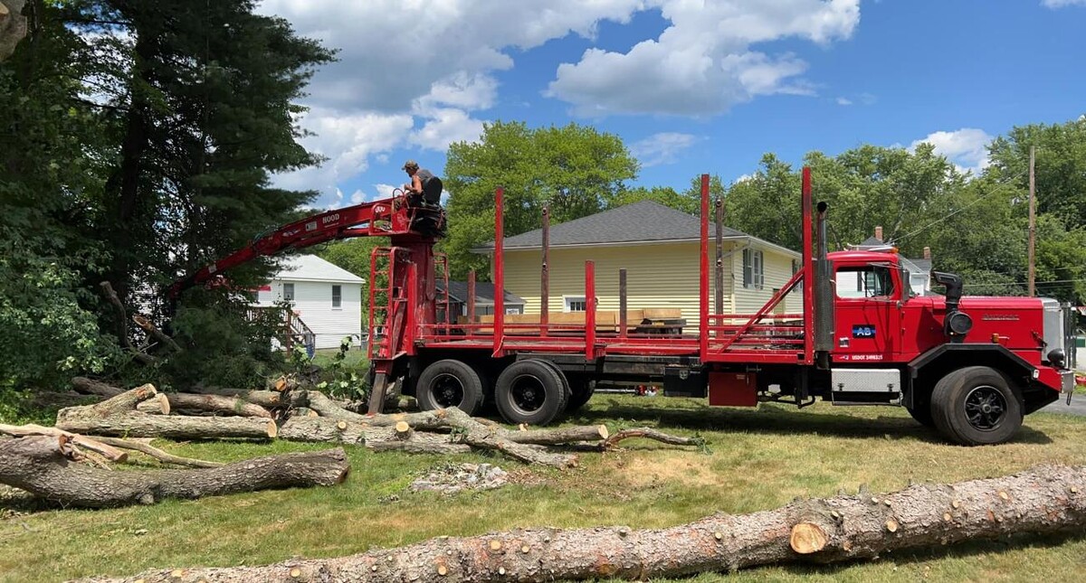Images Precision Tree and Landscape, LLC