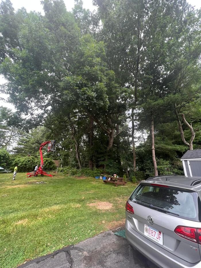 Images Precision Tree and Landscape, LLC