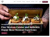 Website Screenshot Chicatana