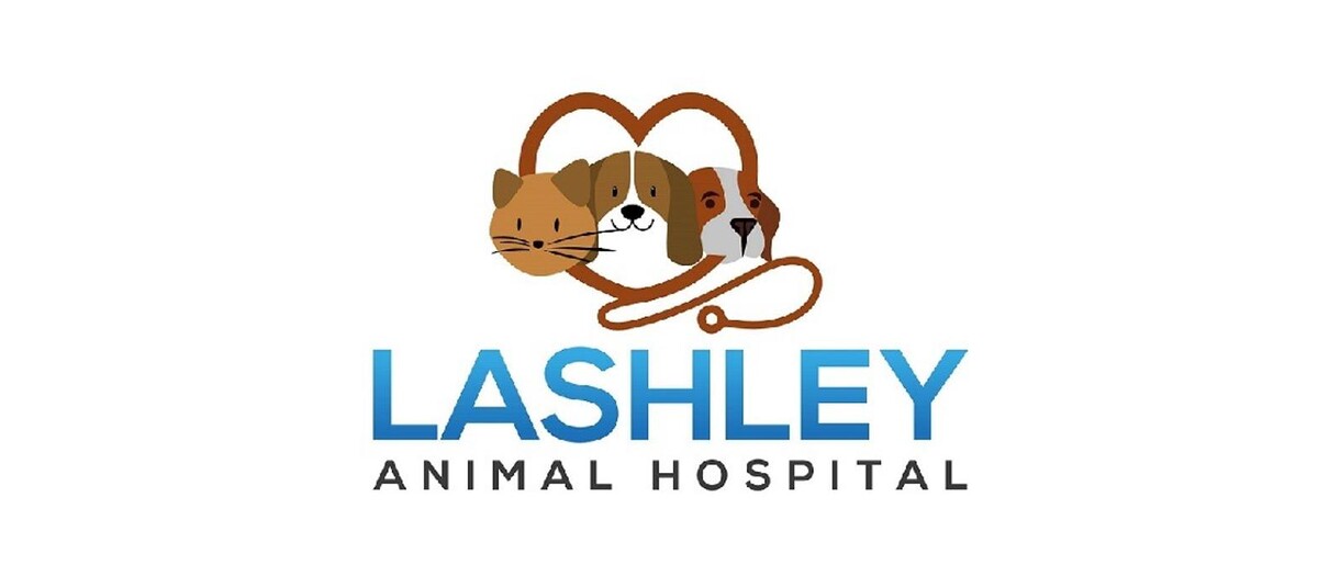 Images Lashley Animal Hospital