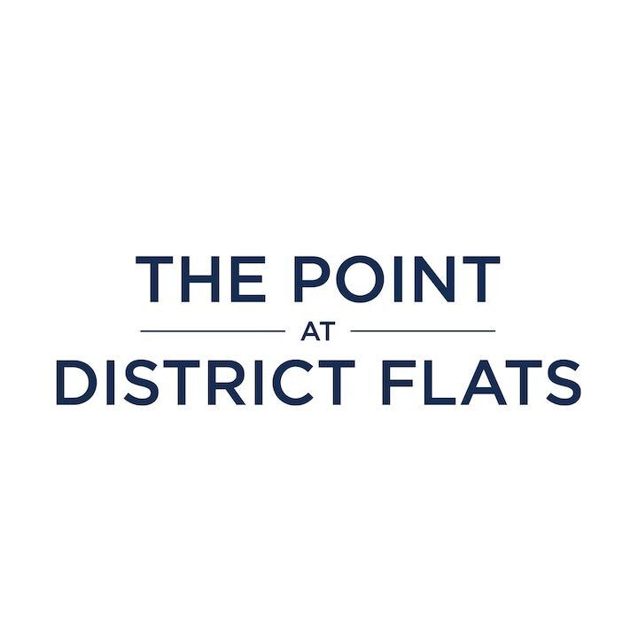 The Point at District Flats Logo