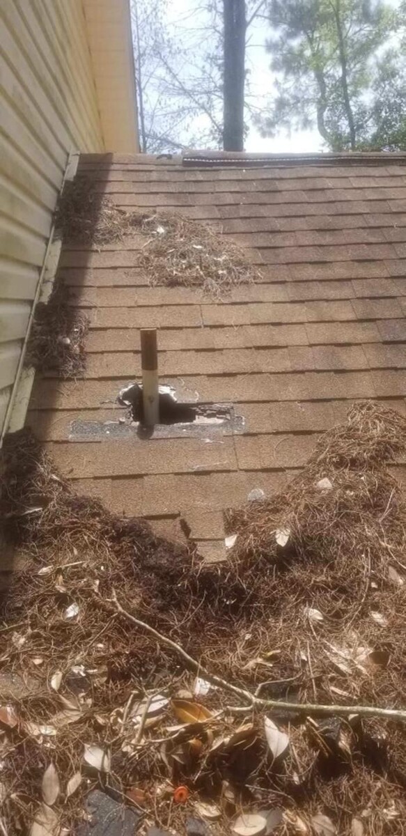 Images Critter Control