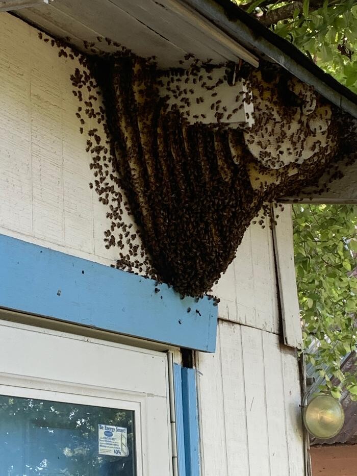 Images Critter Control