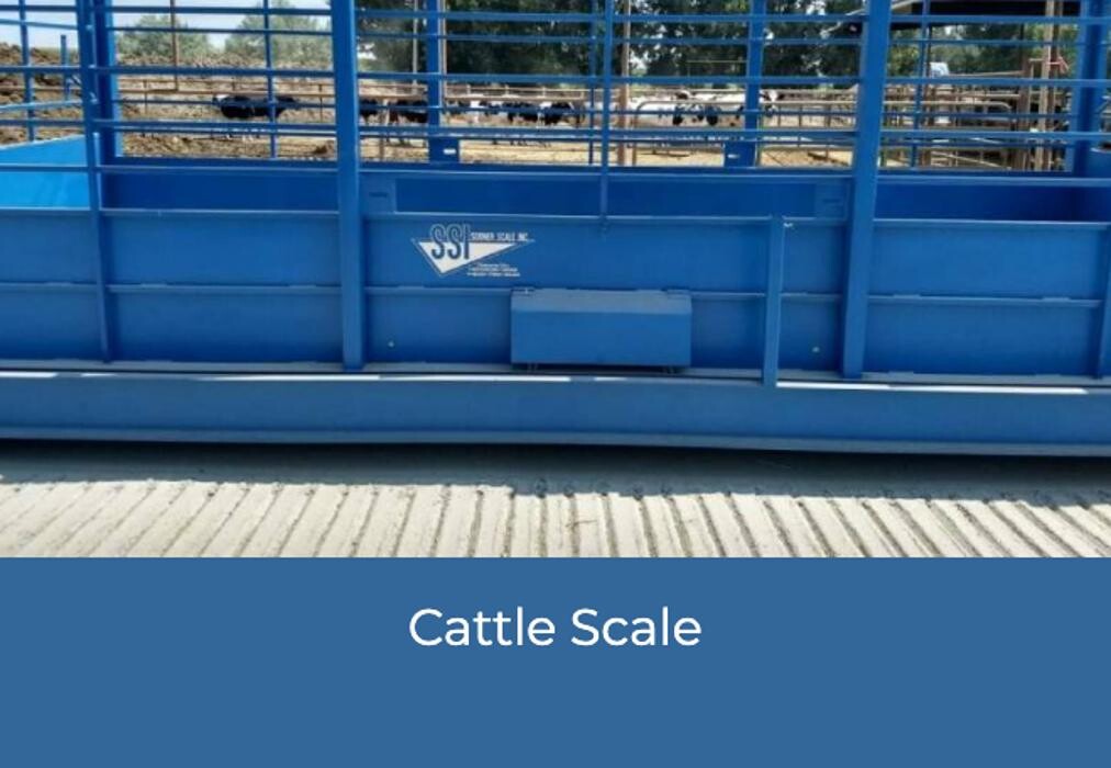 Images Total Scale Service Inc