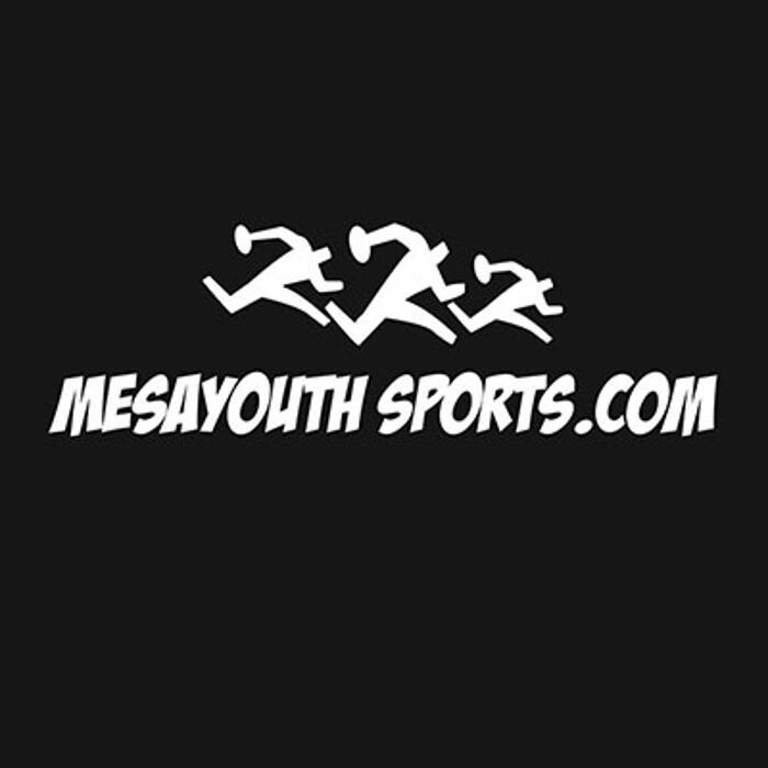 Mesa Youth Sports Logo