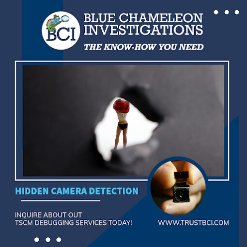 Images Blue Chameleon Investigations