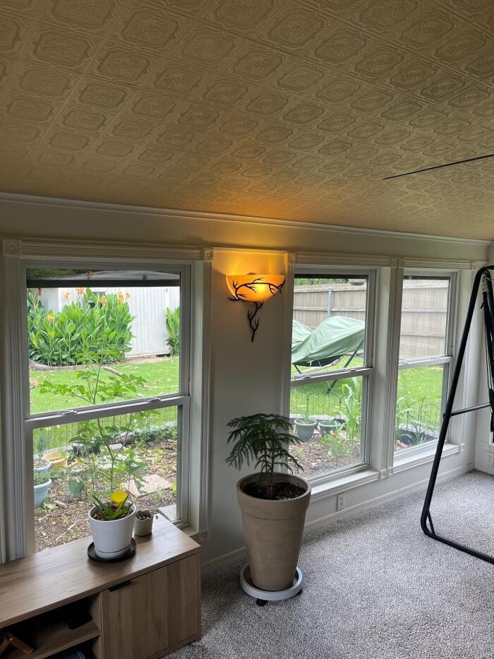 Images Watt's Right Electric