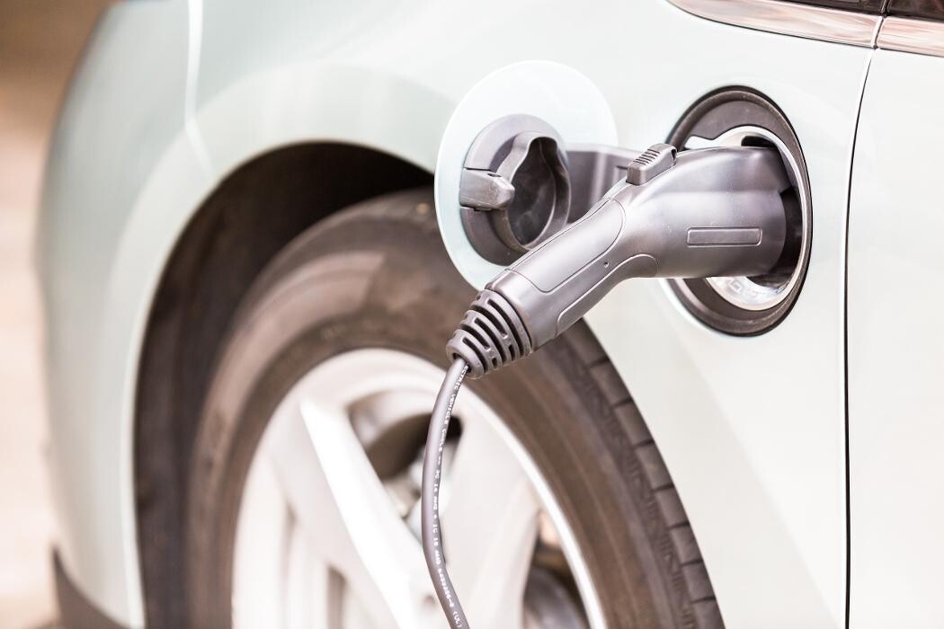 Images Watt's Right Electric