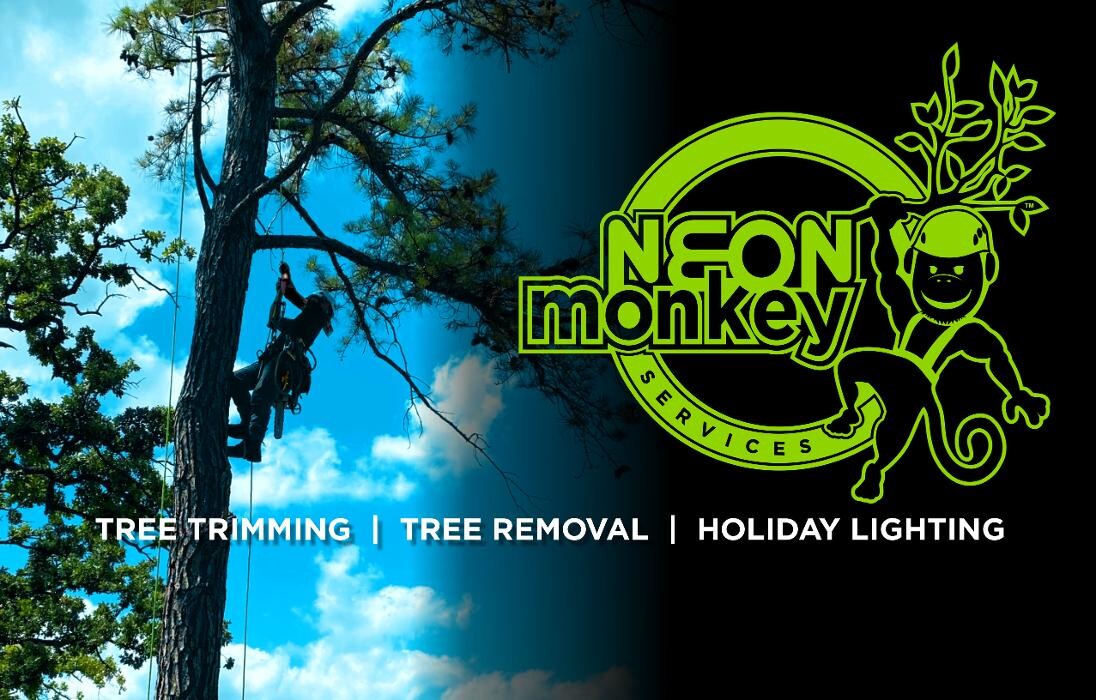 Images NEON Monkey Tree Services