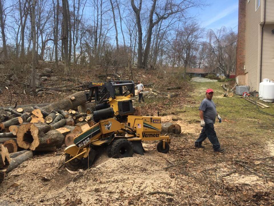 Images EML Tree Services LLC