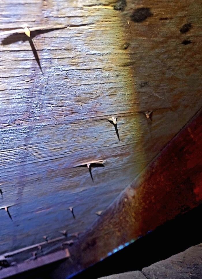 Images Mold Inspection Service