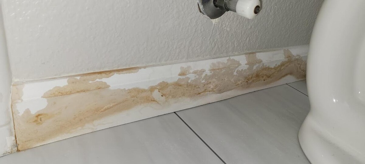 Images Mold Inspection Service