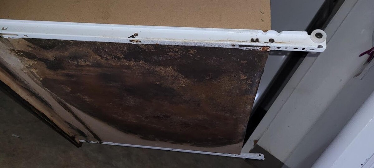 Images Mold Inspection Service