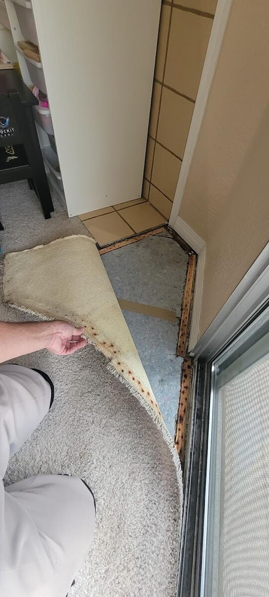 Images Mold Inspection Service