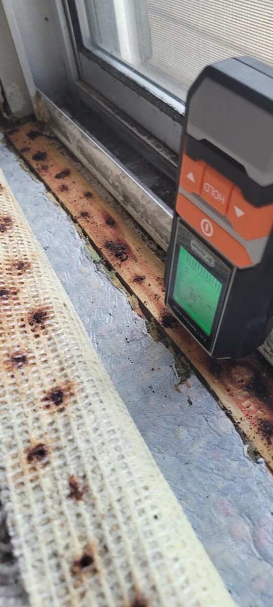 Images Mold Inspection Service