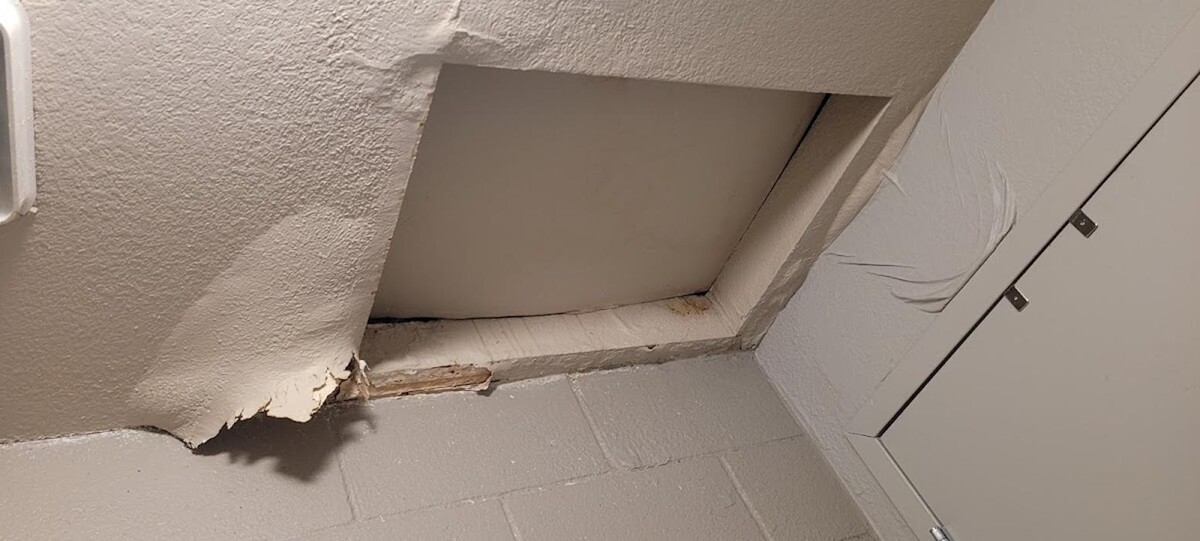 Images Mold Inspection Service