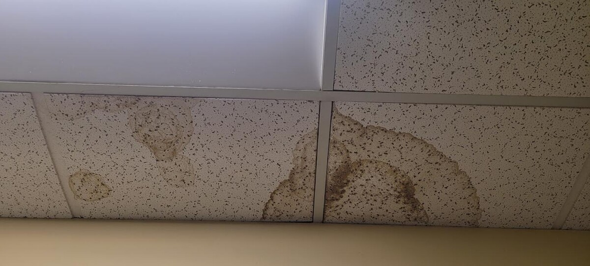 Images Mold Inspection Service