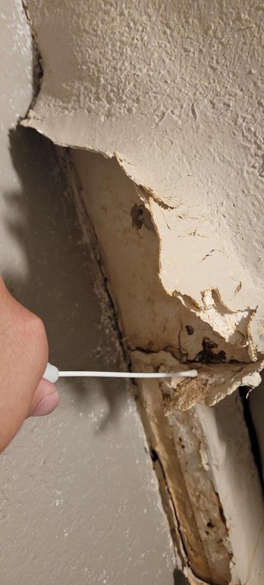 Images Mold Inspection Service