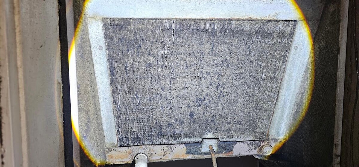 Images Mold Inspection Service