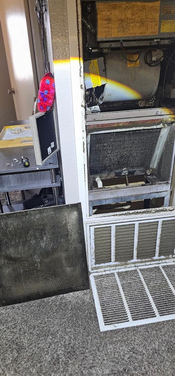 Images Mold Inspection Service