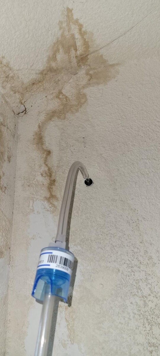 Images Mold Inspection Service