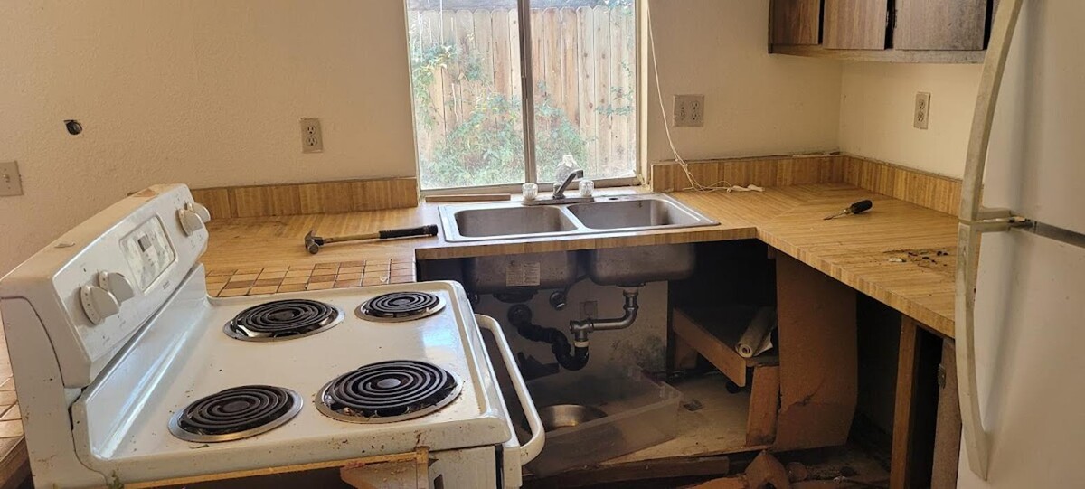 Images Mold Inspection Service