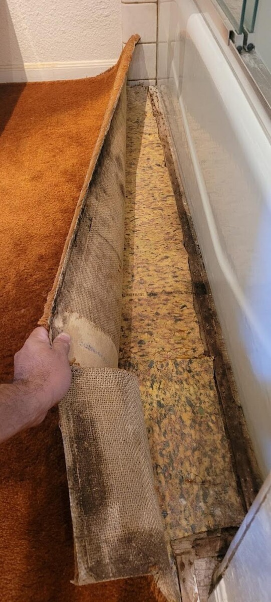 Images Mold Inspection Service