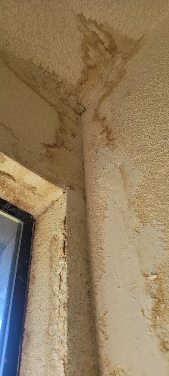 Images Mold Inspection Service