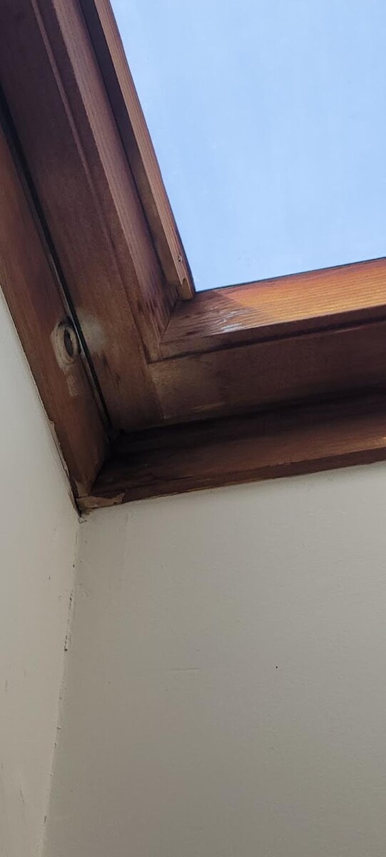 Images Mold Inspection Service