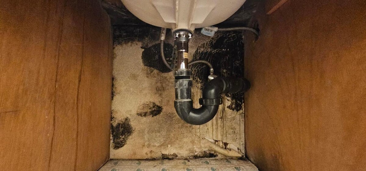 Images Mold Inspection Service