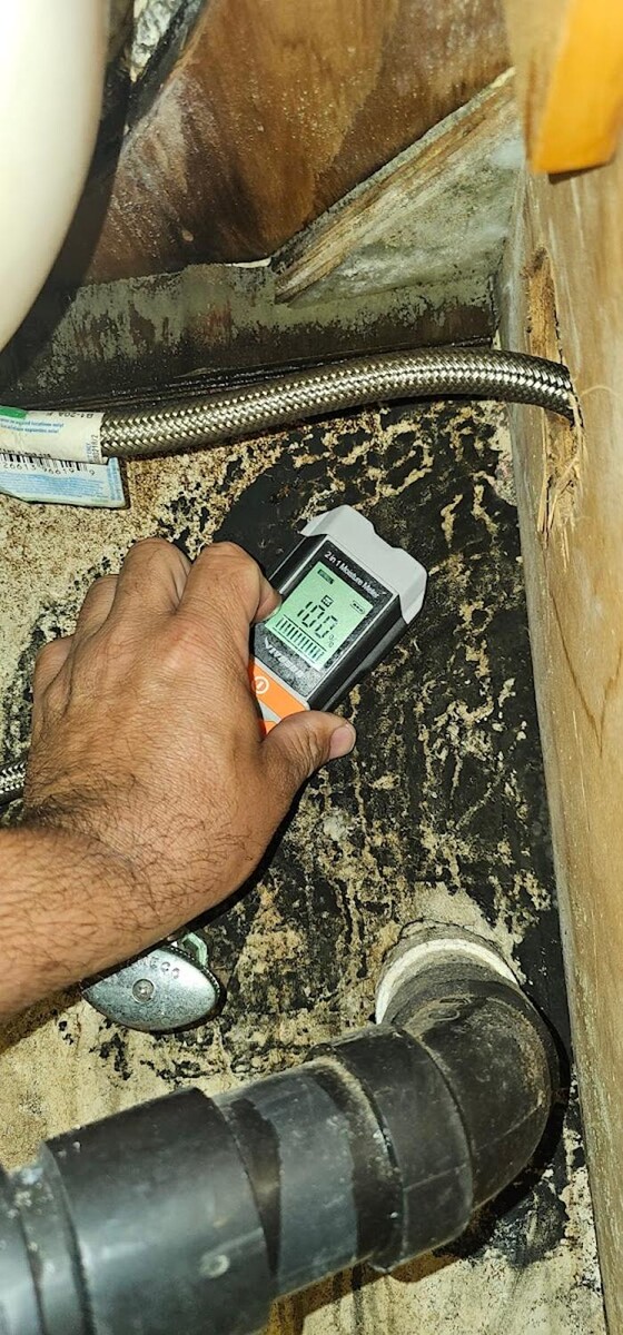 Images Mold Inspection Service