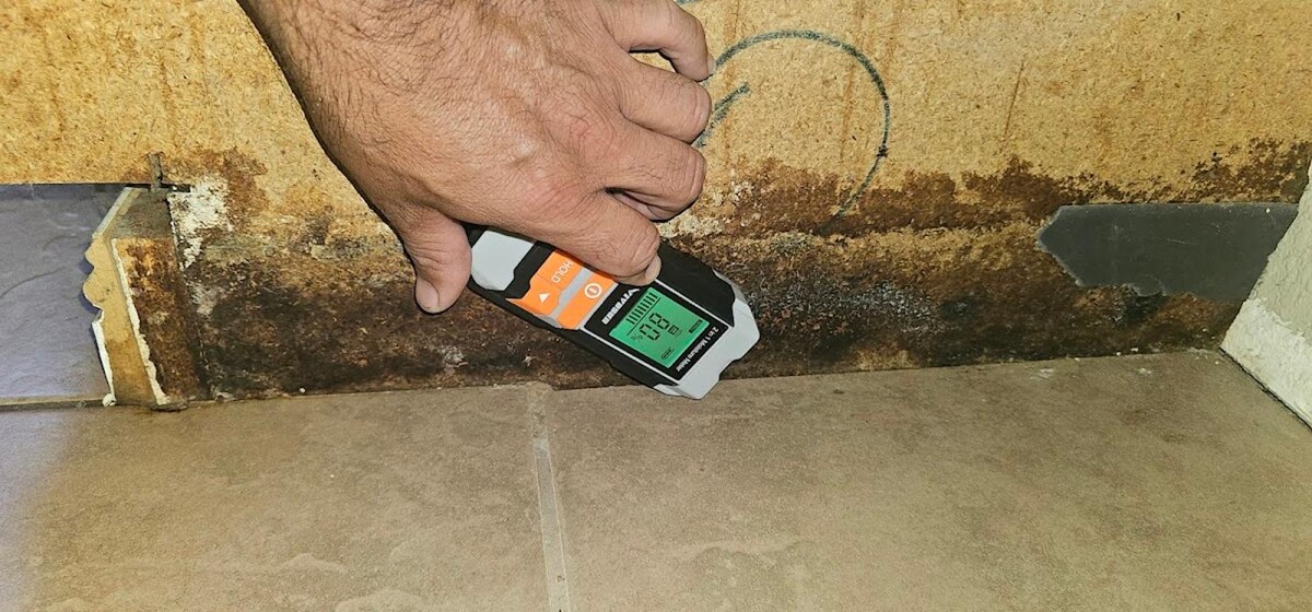 Images Mold Inspection Service
