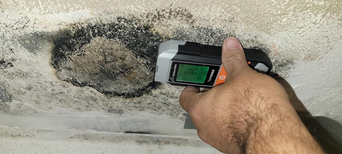 Images Mold Inspection Service