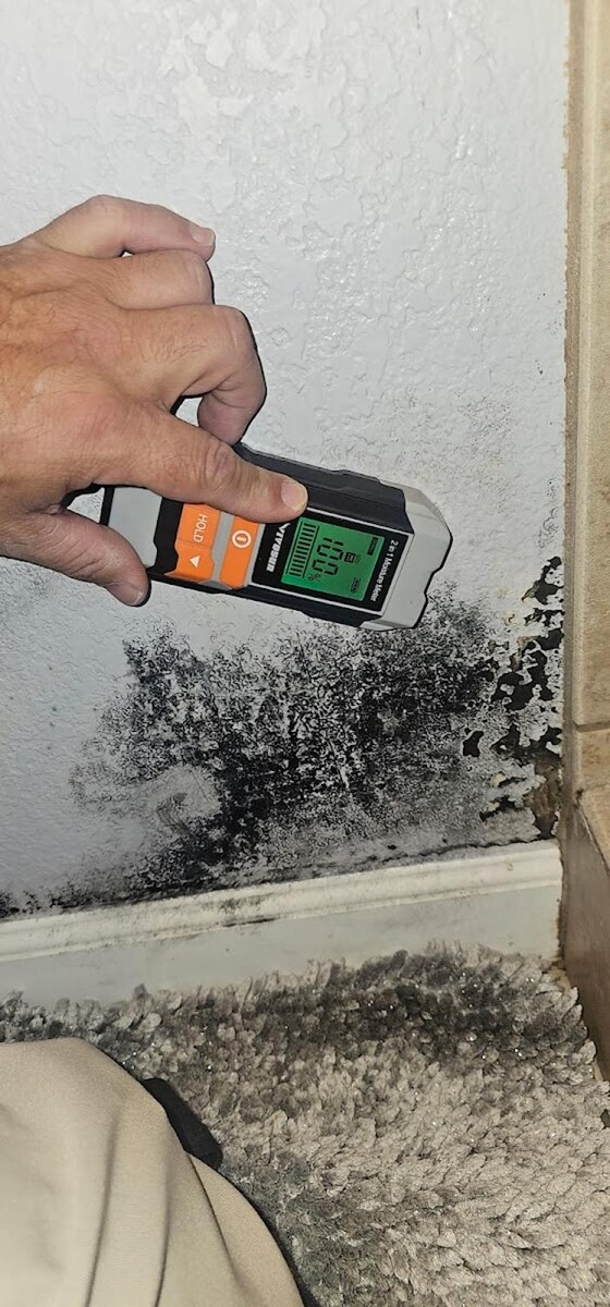 Images Mold Inspection Service