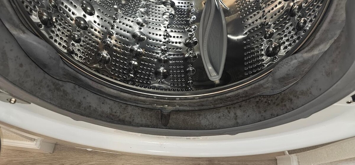 Images Mold Inspection Service