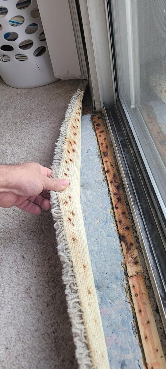 Images Mold Inspection Service