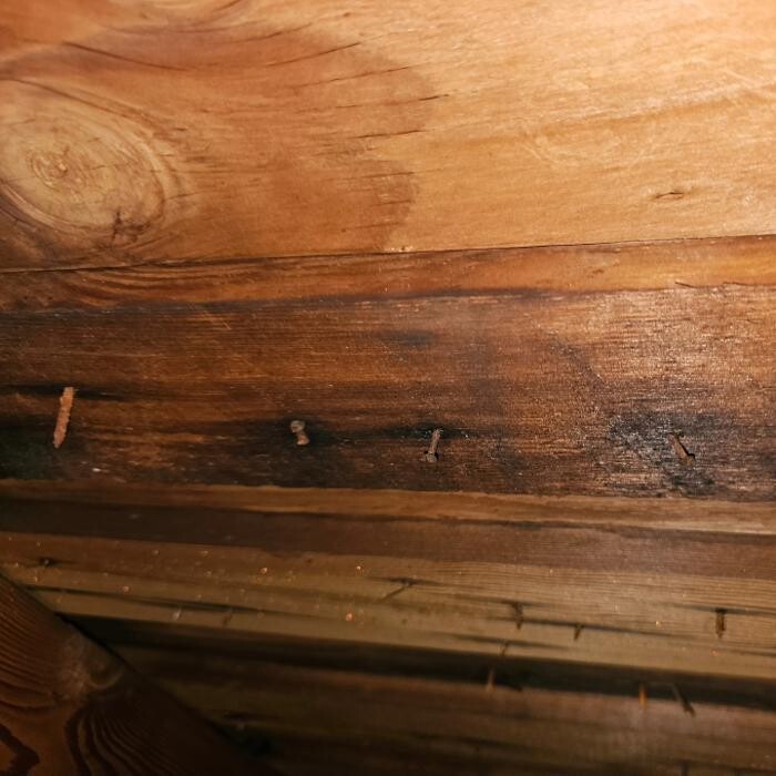 Images Mold Inspection Service