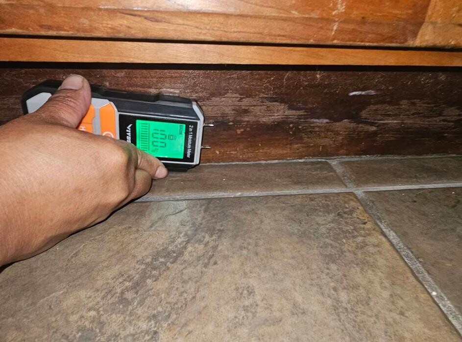 Images Mold Inspection Service