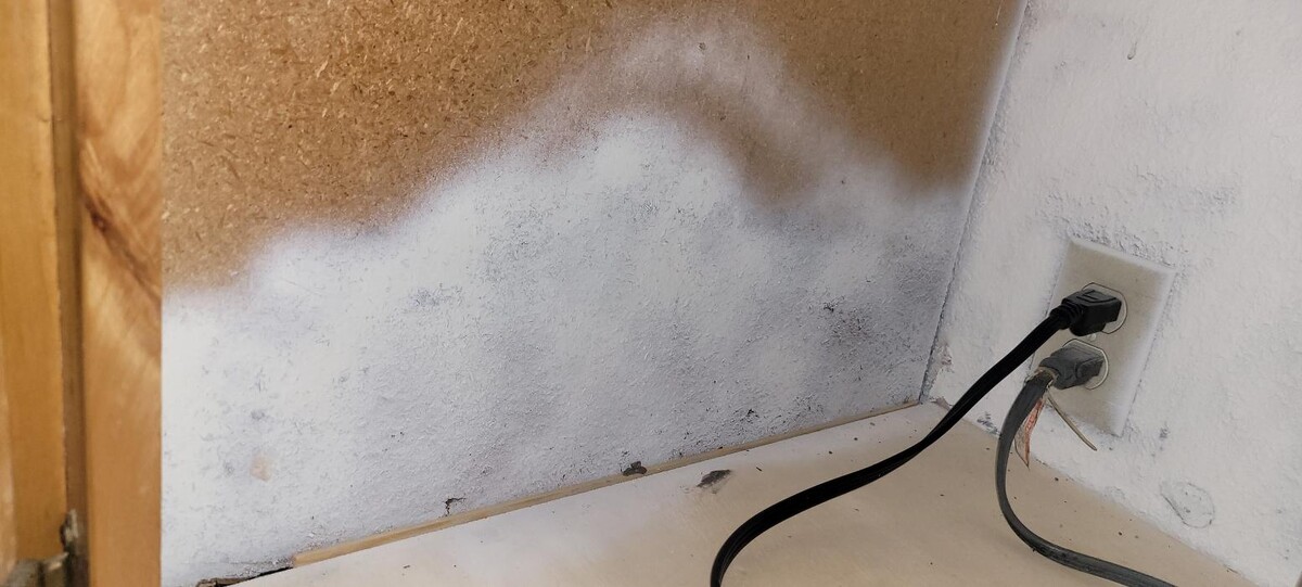 Images Mold Inspection Service